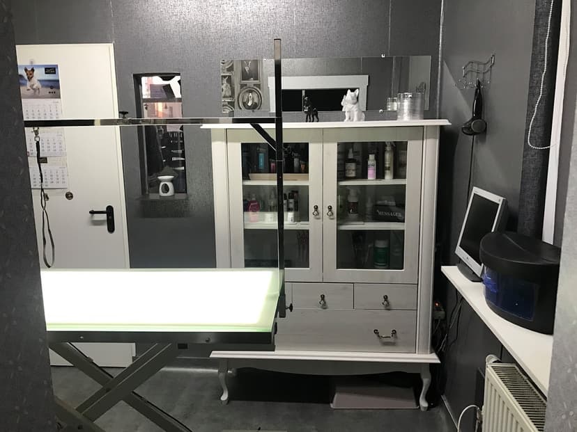 SPA dla PSA