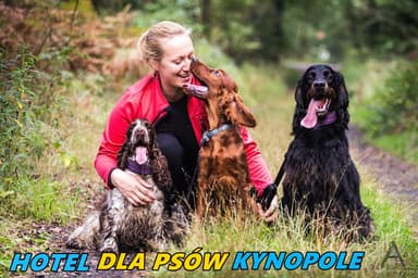 Hotel dla psów Kynopole