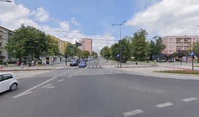 Woof- Mobilny Salon dla psów