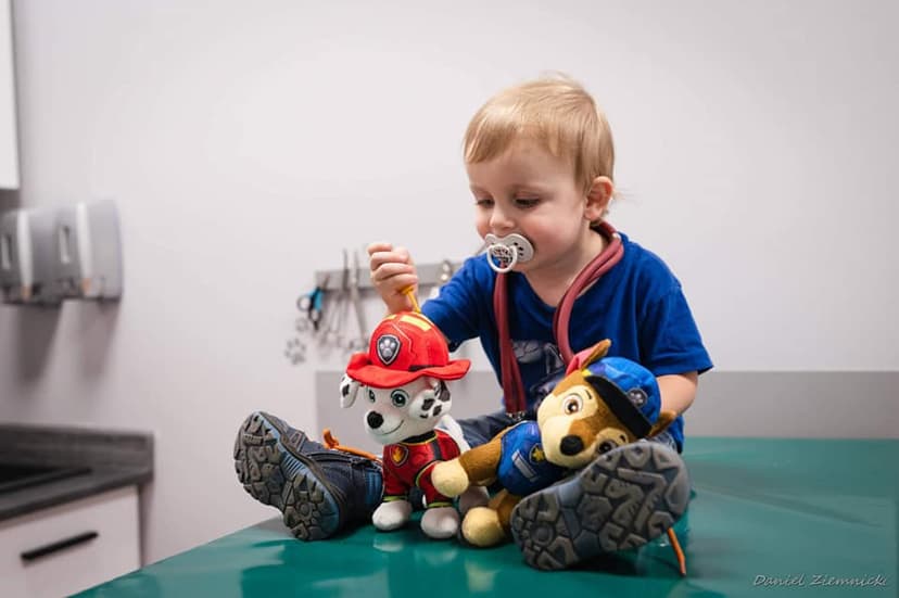 CZENEKA GABINET WETERYNARYJNY