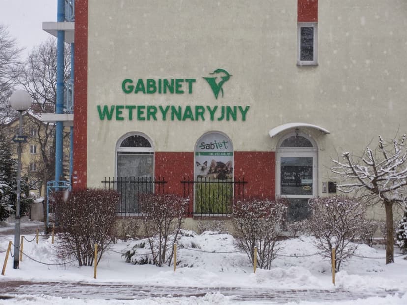 Gabinet Weterynaryjny Sabvet
