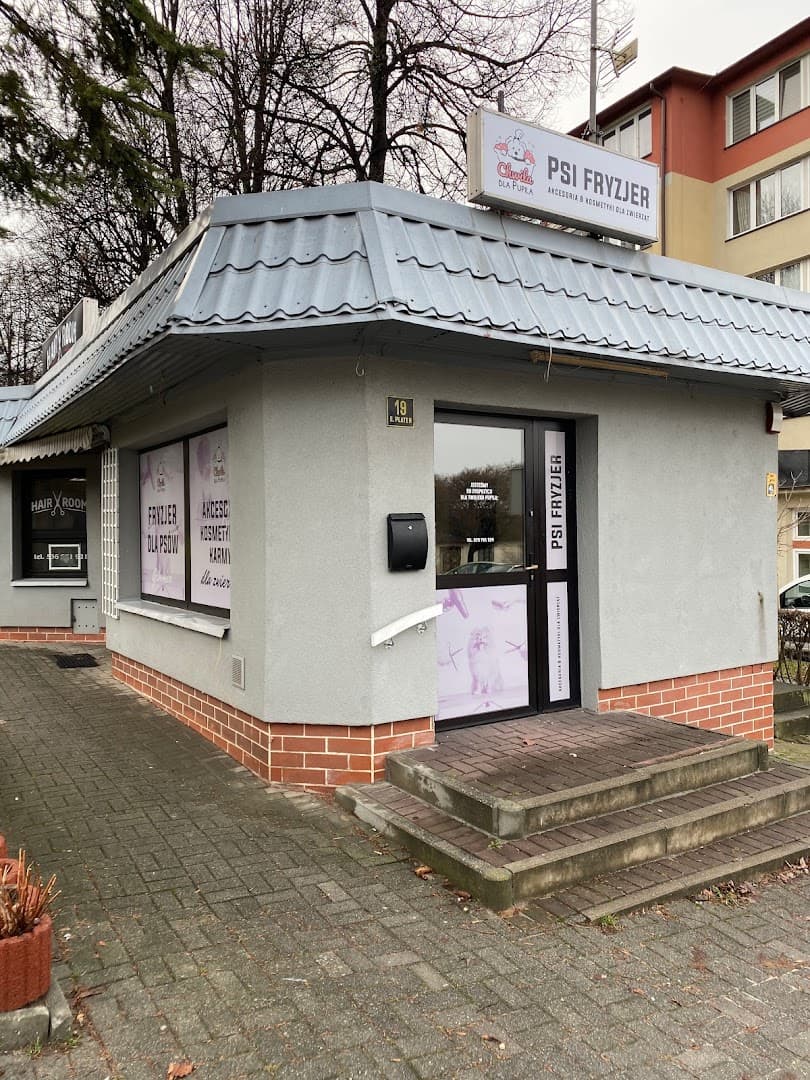 Psi Fryzjer „Chwila dla Pupila” fryzjer dla zwierząt
