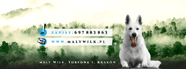 Mały Wilk - pielęgnacja i strzyżenie psów