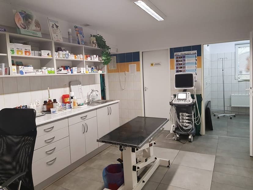 KordianaVet - Przychodnia Weterynaryjna