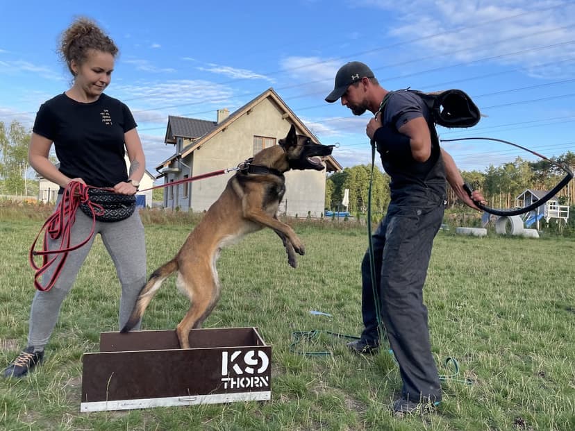 Szkolenie Psów, Behawiorysta Best Dog