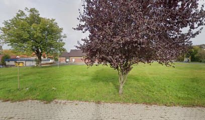Szkolenie psów / Porady behawioralne