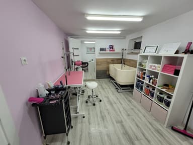 Candy Dog- Fryzjer Dla Psów