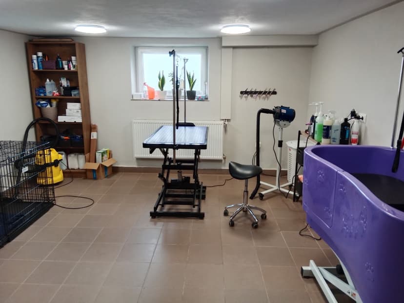 PupiLove Spa Salon pielęgnacji psów Ewa Kocoł