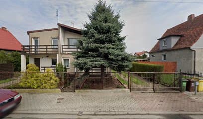 Salon Pielęgnacji Dla Psów
