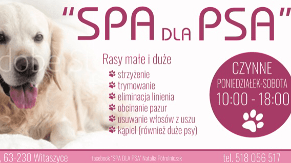 „SPA DLA PSA’’ Natalia Półrolniczak - Salon Pielęgnacji Zwierząt