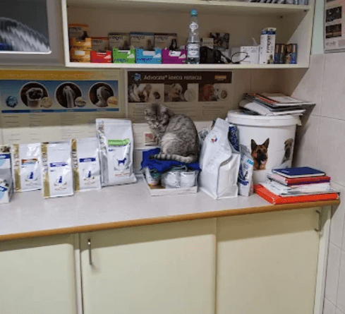 Przychodnia Weterynaryjna PRO VET, Dr n. wet. Maria Zoń, lek.wet. Marcin Zoń