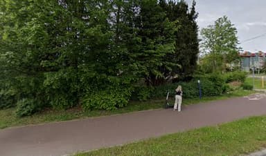 Powiatowy Inspektorat Weterynarii. Inspekcja Weterynaryjna