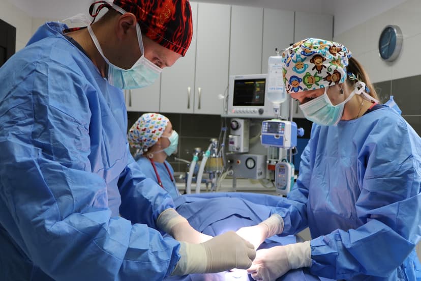 Przychodnia weterynaryjna VetMedica