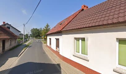 Salon fryzjerski dla psów VEGA