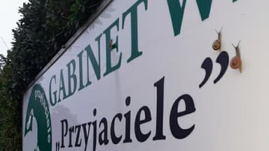 Gabinet Weterynaryjny - "Przyjaciele"