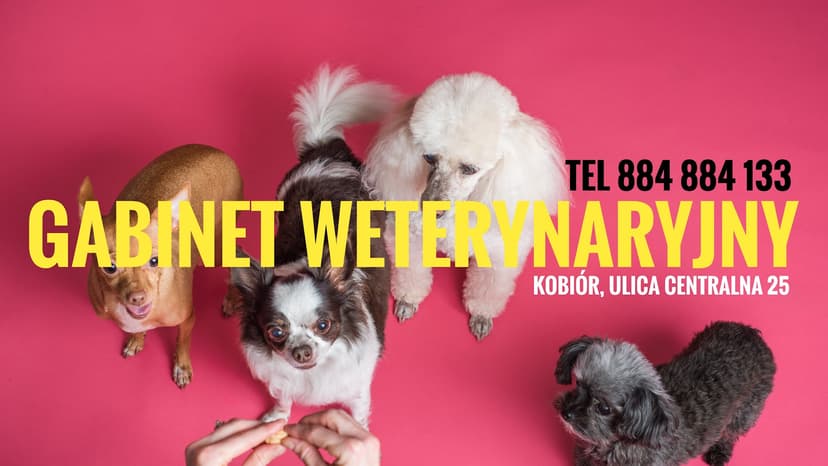 Gabinet Weterynaryjny Lek. Wet. Agnieszka Błaszczak