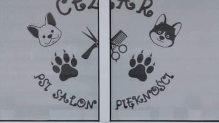 CEZAR PSI SALON PIĘKNOŚCI