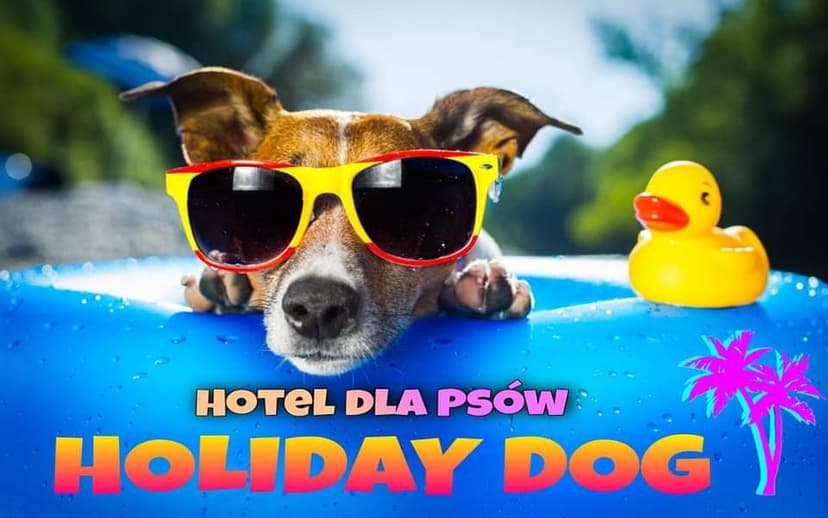Hotel dla psów Gniezno - Holiday DOG - Zdrowa Micha - Centrum DOG