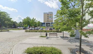 Dogerka - szkolenie psów, behawiorystka, zoopsycholog