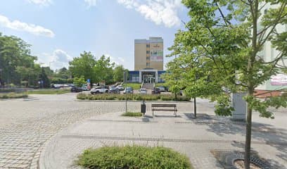 Dogerka - szkolenie psów, behawiorystka, zoopsycholog
