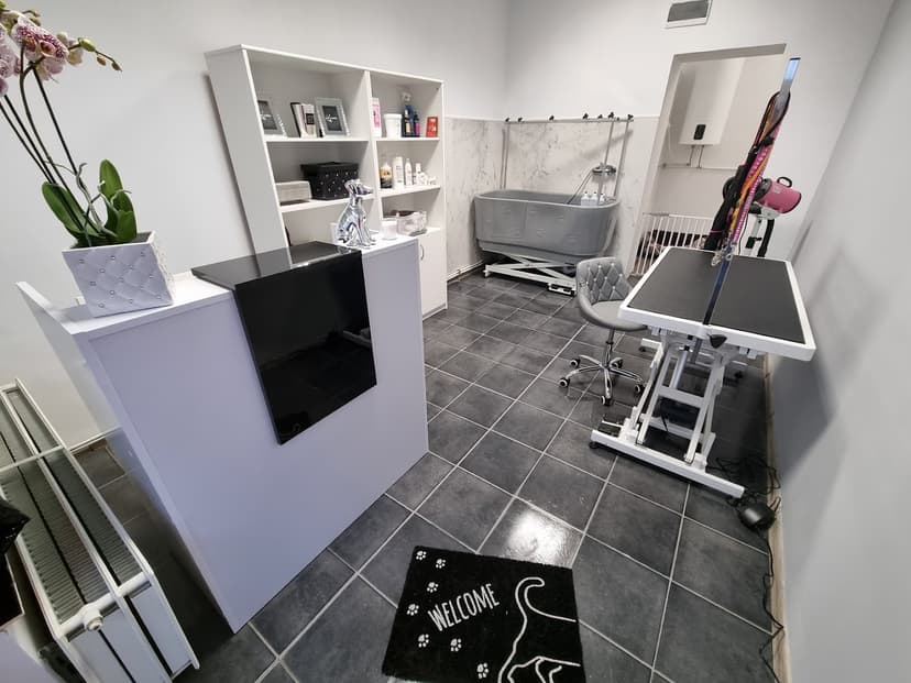 Salon Pielęgnacji Dla Psów Dog Glamour