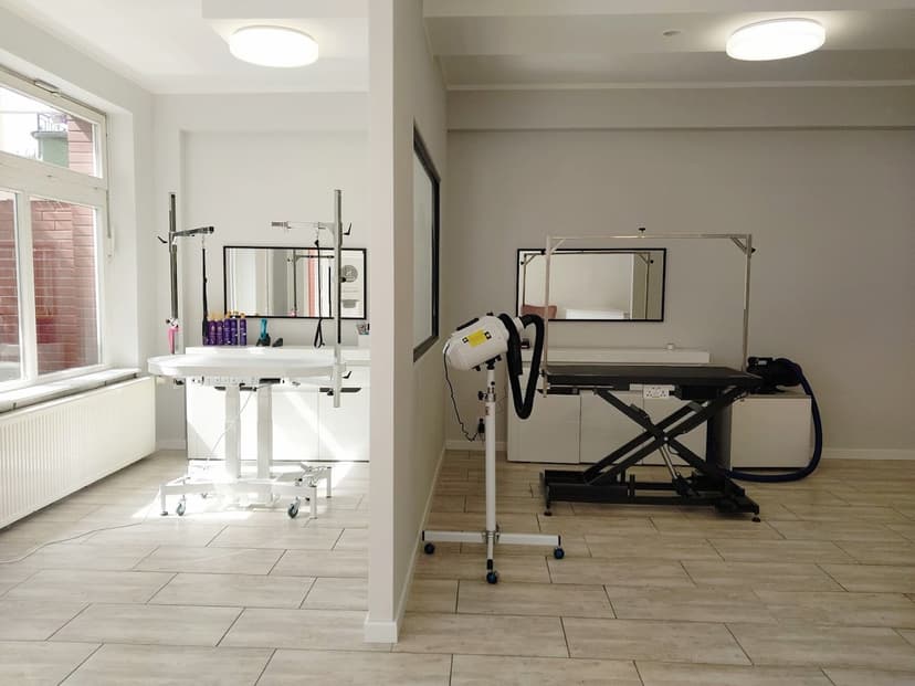 Fancy Dog SPA dla psa