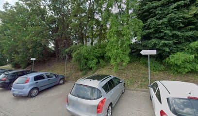 Max. Prywatna lecznica dla zwierząt. Wolf P., lek. wet.
