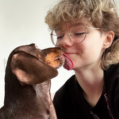 RozPIESczone | Petsitter Poznań