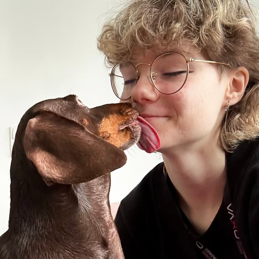 RozPIESczone | Petsitter Poznań