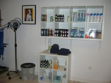 Salon Sieciowy Beauty Dog