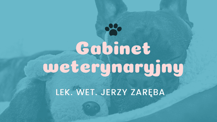 Gabinet weterynaryjny Jerzy Zaręba