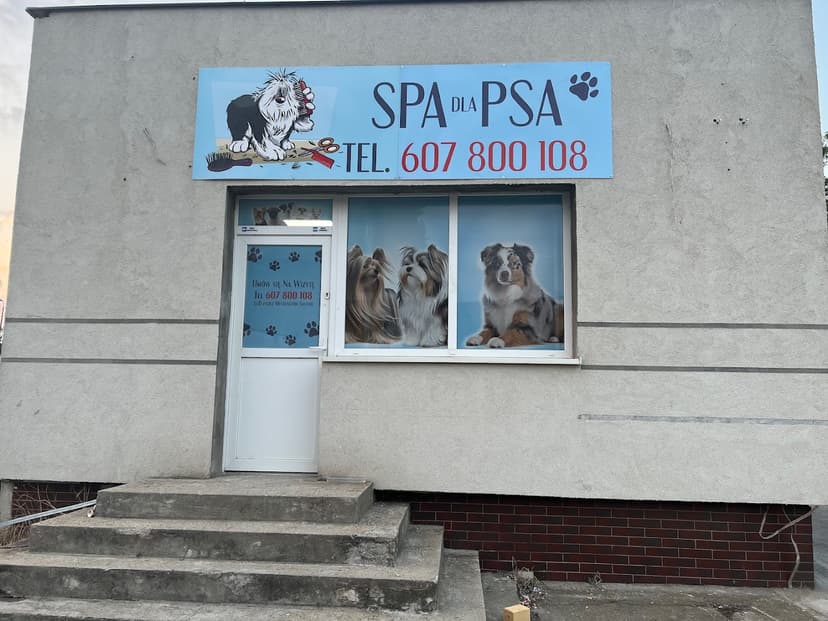 Spa dla psa