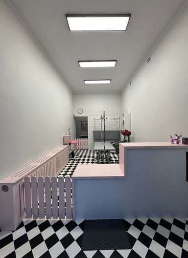 Daj Włos - Psi fryzjer Kraków Groomer | Nowa Huta