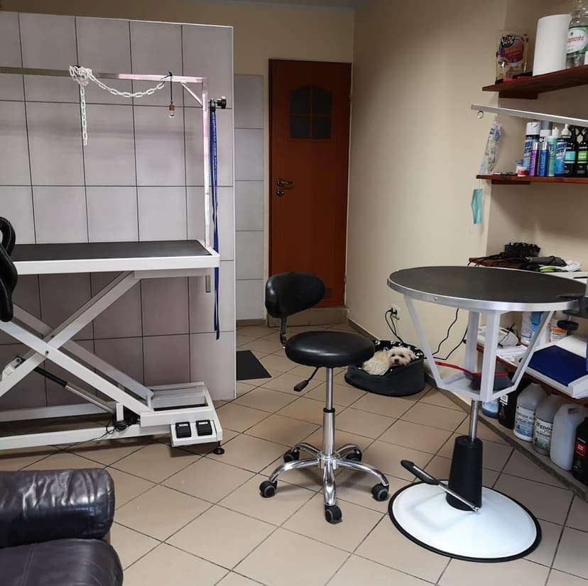Salon pielęgnacji zwierząt "Dasti"