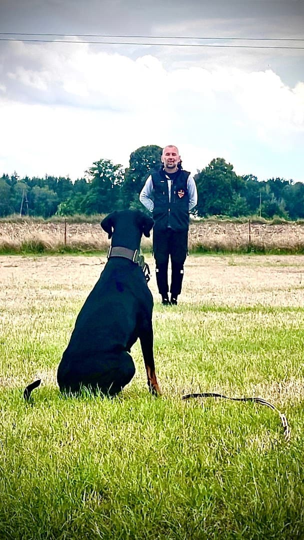 Marcin Matuszak Happy Dog Szkolenie psów i terapie zachowań
