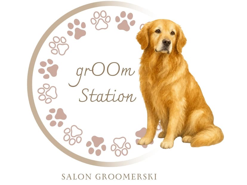 grOOmSTATION pielęgnacja Twojego Psa i Kota