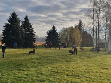 CENTRUM KYNOLOGICZNE KA2 Agnieszka Szymańska Specjalistyczny Ośrodek Szkolenia Psów i Hotel dla psów