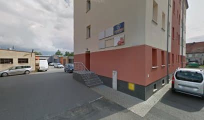 Salon Pielęgnacji Psów (STRZYŻENIE-PSÓW)
