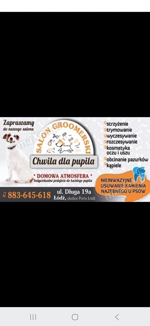 ,,Salon groomerski Chwila dla pupila Jagoda Sakosik" - Strzyżenie, pielęgnacja, usuwanie kamienia nazębnego