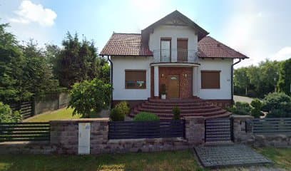 Złoty Spaniel