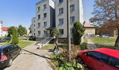 Tresura owczarków