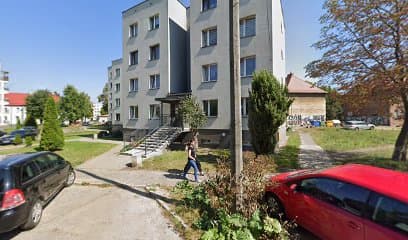 Tresura owczarków