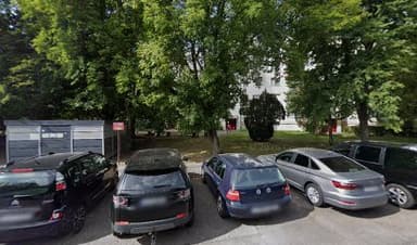 Strzyżenie psów Bydgoszcz
