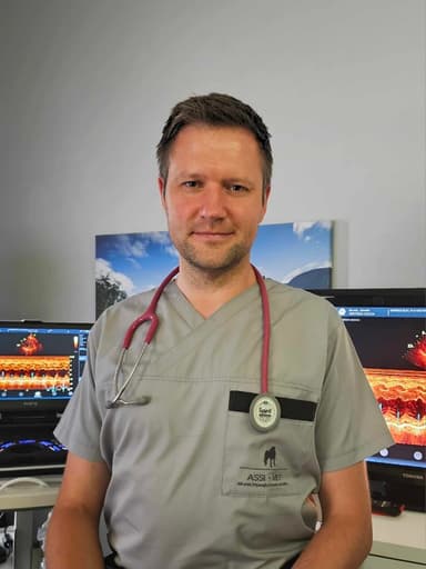Assi-Vet lek. wet. Jarosław Kłyszejko-Kowiel, Weterynaryjna Diagnostyka Ultrasonograficzna & Konsultacje Obrazowe, Trójmiasto