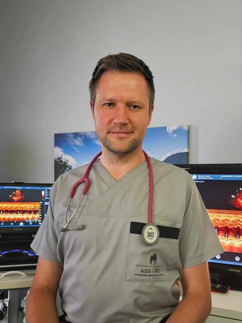 Assi-Vet lek. wet. Jarosław Kłyszejko-Kowiel, Weterynaryjna Diagnostyka Ultrasonograficzna & Konsultacje Obrazowe, Trójmiasto