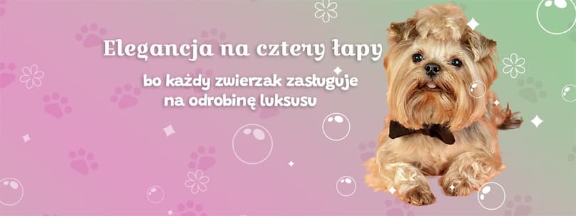 Elegancja na Cztery Łapy - Fryzjer dla psów - strzyżenie czesanie psów Gdańsk - psi fryzjer Gdańsk - groomer - kąpiel psów