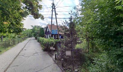 Vetto